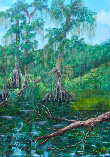 Everglades, Florida