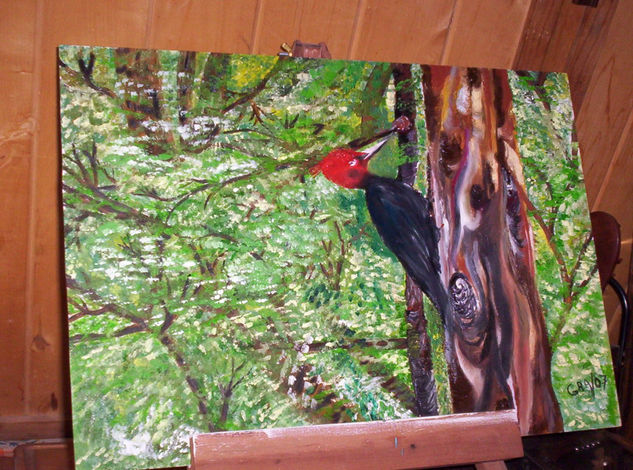 Pajaro Carpintero Oil Canvas Animals