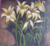 Lilies