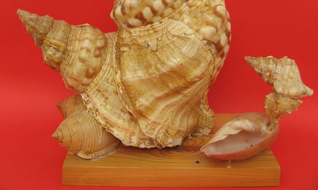 esculturas marinas