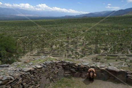 La montaña sagrada...