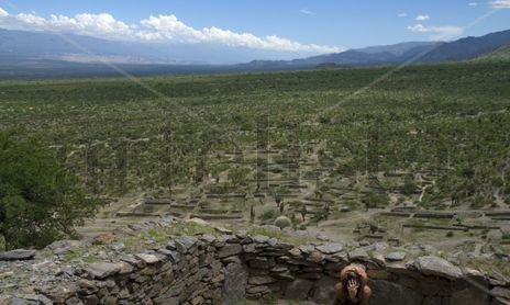 NATURALEZA VIVA