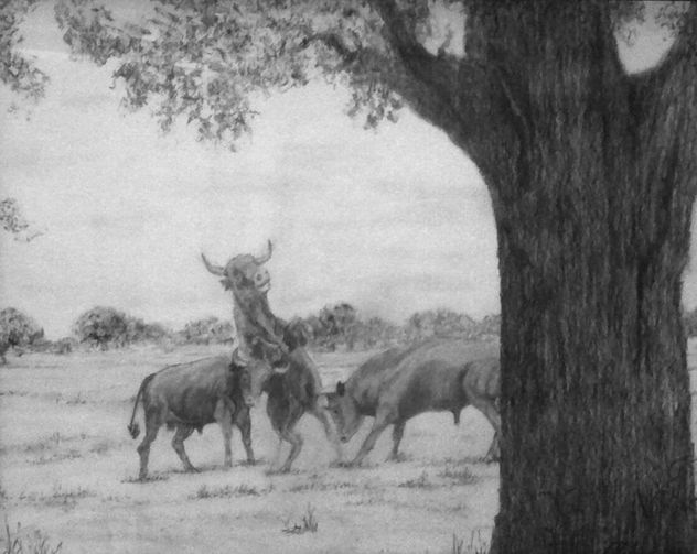 PELEA DE TOROS