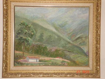 Paisajes andinos
