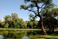 Bosques De Palermo