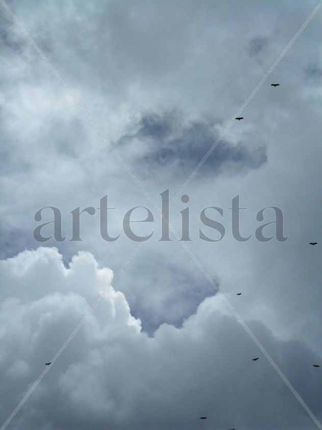 ZOPILOTES AL ATARDECER