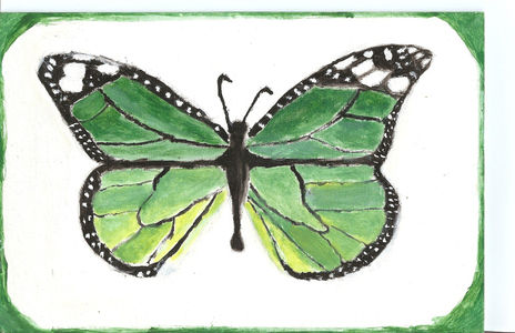 Mariposa