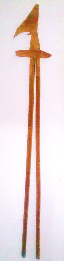 Zancuda