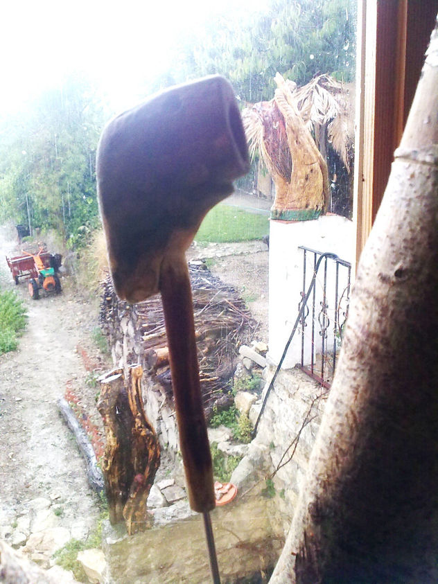 PIPAYA
