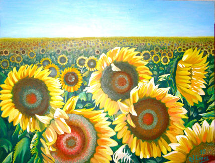 Mil Girasoles