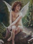 Cupido  (boughereau)