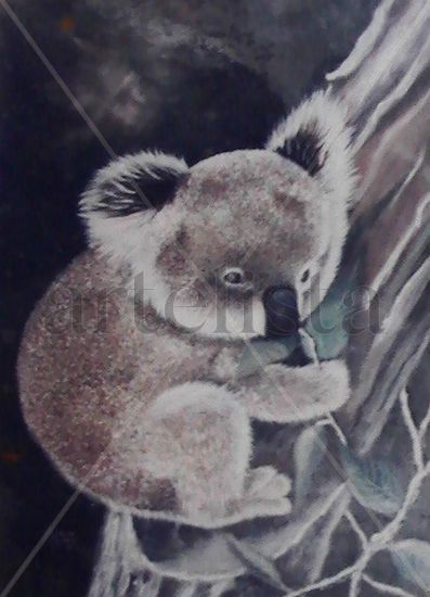 Koala Óleo Lienzo Animales