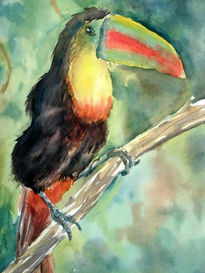 Tucan