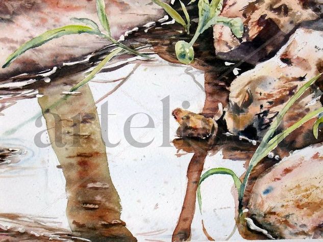 CHARCO Watercolour Card Others