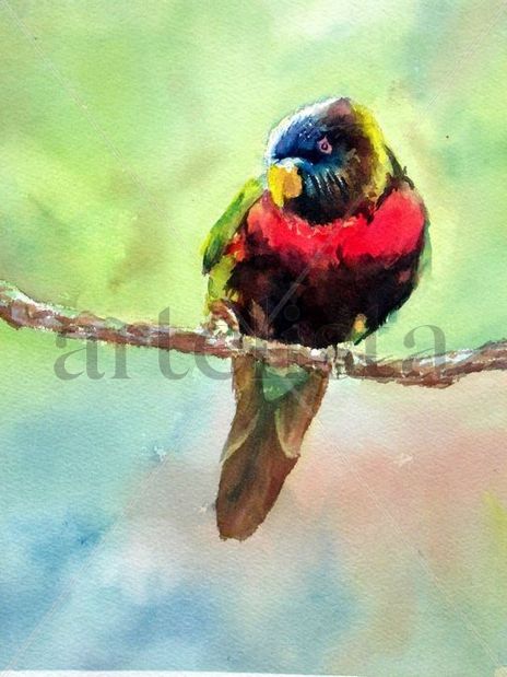 Pajarillo