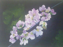 Flores lilas