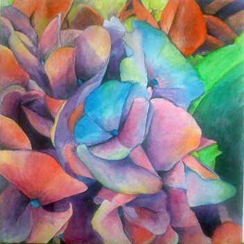 otra hortensia