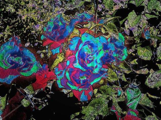 Rosas Azules