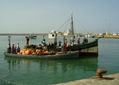almadraba