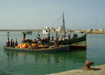 Almadraba