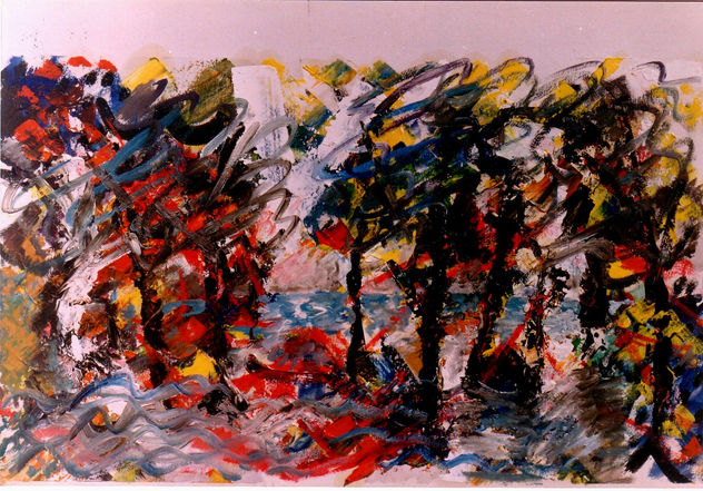 "BOSQUE Y LAGO".