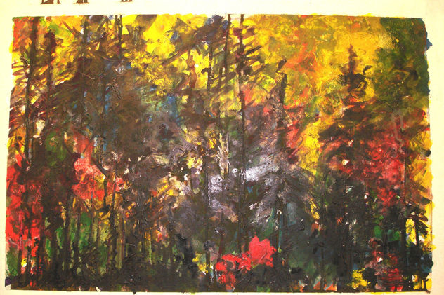 " BOSQUE EN LLAMAS"