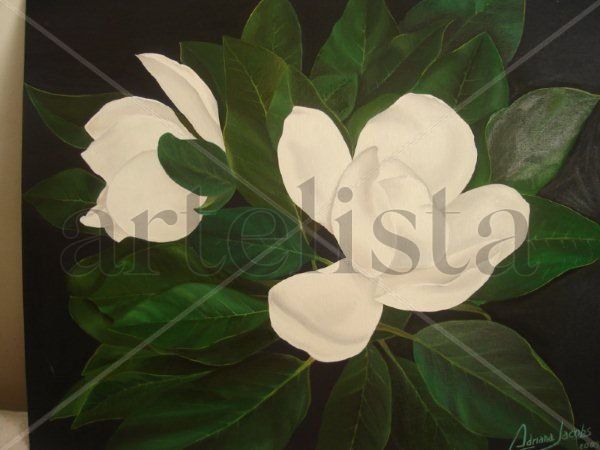 MAGNOLIAS.. Oil Canvas Floral Painting