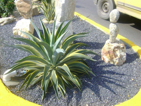 Instalacion land...