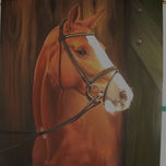 CABALLOS thumbnail 1