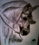 caballo flamenco