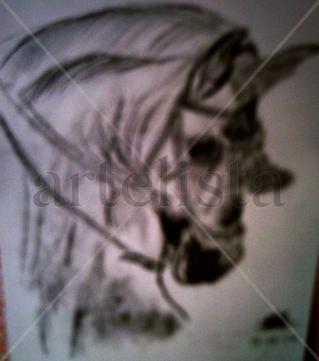 caballo flamenco