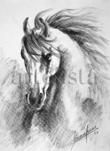 caballo