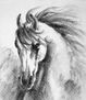 caballo encarado