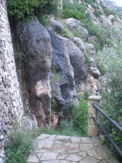 Los monstruos te esperan al final de la escalera Naturaleza Color (Digital)