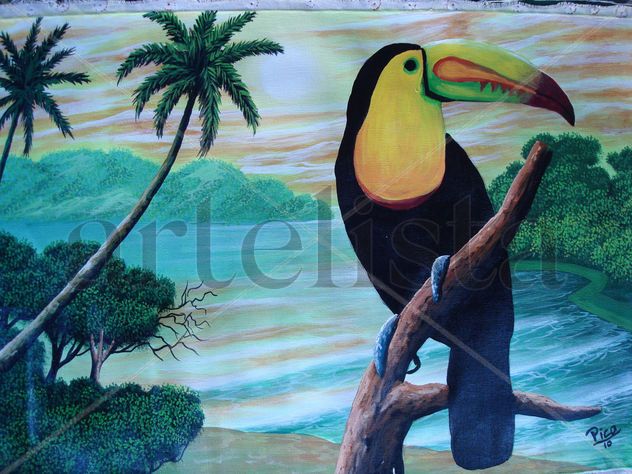 TORTUGUERO.COSTA RICA BY PICO