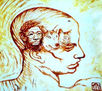 animal humanitas