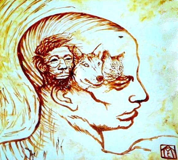 animal humanitas