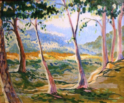 Paisaje
