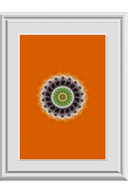 Art 241