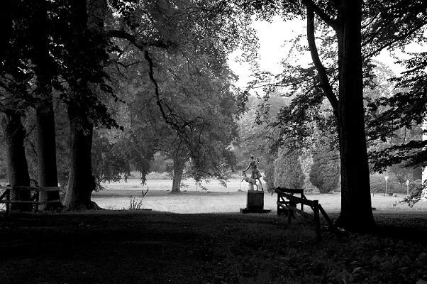 Jardín en sombras Nature Black and White (Digital)