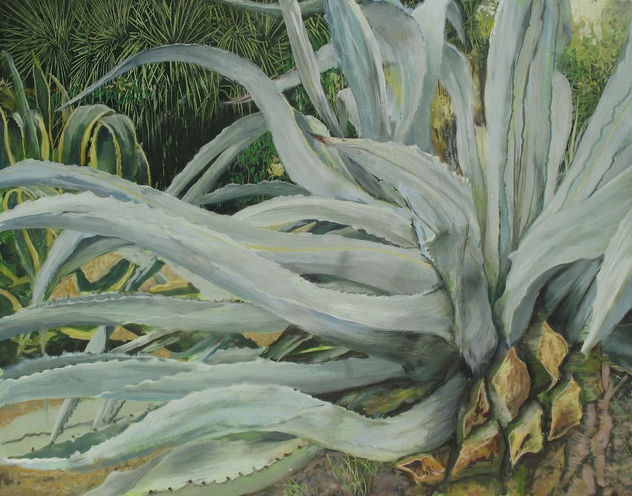 agave