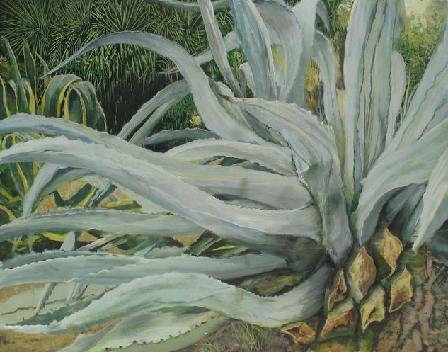 agave Oil Panel Landscaping