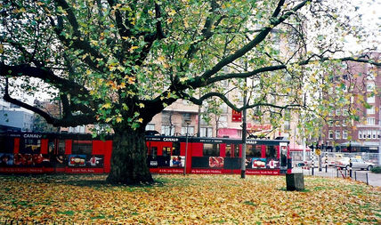 Otoño en amsterdam