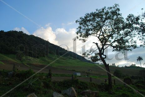 Montaña