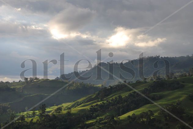 Montana