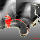 Network/Multimedia thumbnail 2