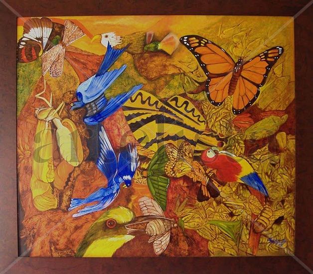 Insectos Oil Canvas Others