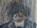 rodo