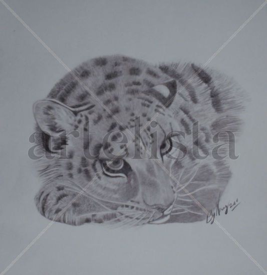 Tigre Pencil