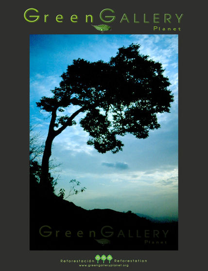 Mi Árbol | N2010009